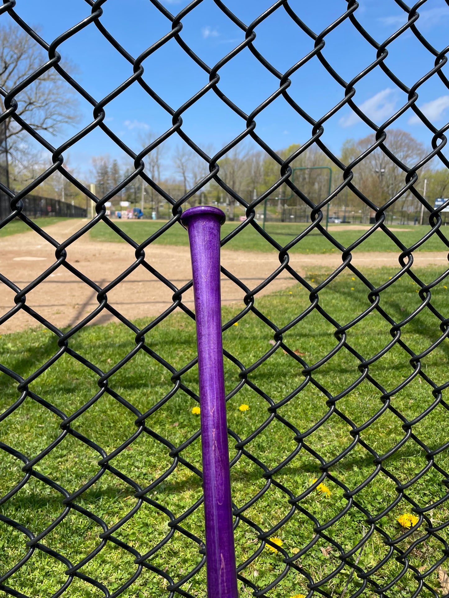 Royalty Purple