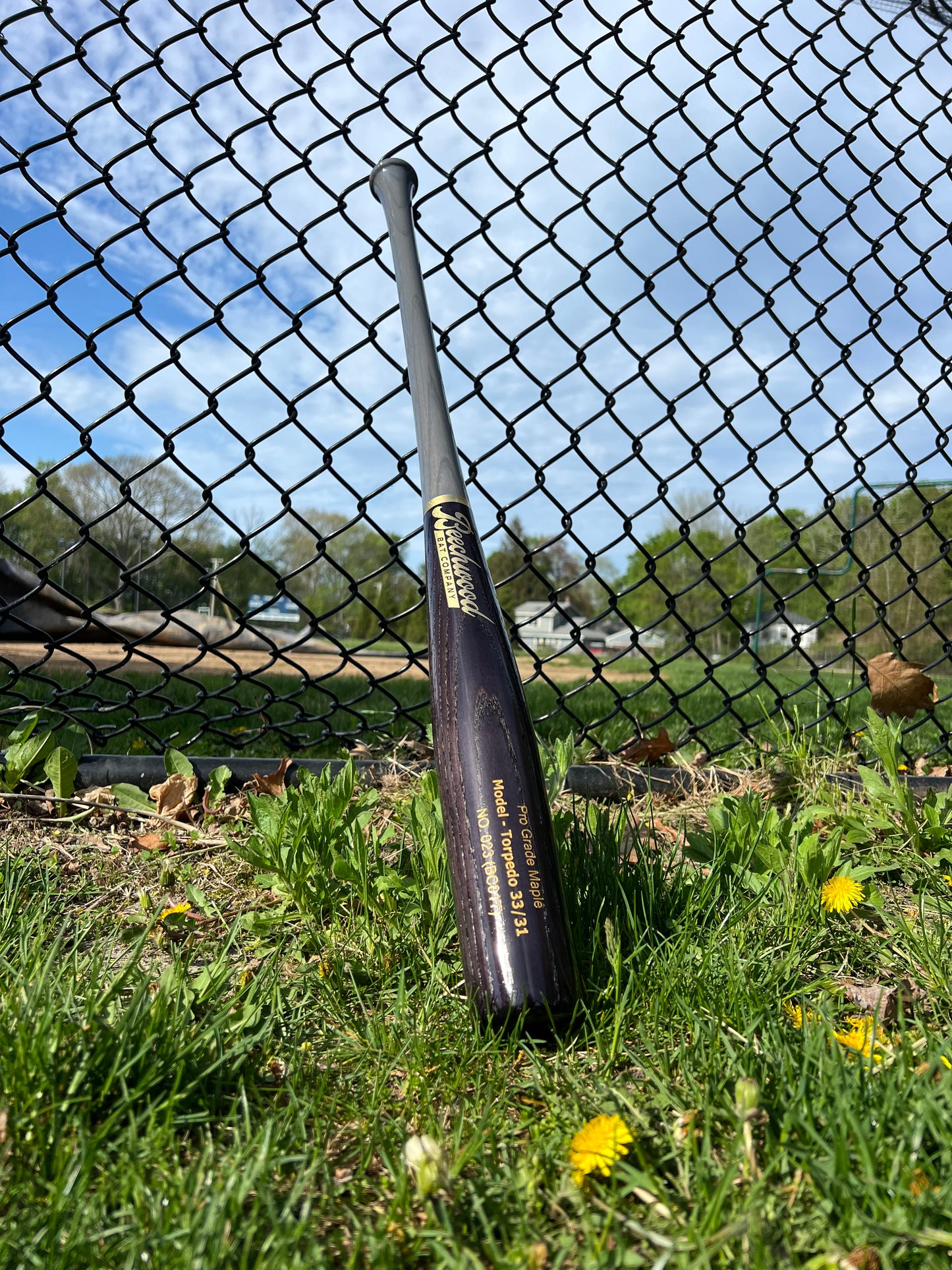 Gloss Black and Gray w/ Gold