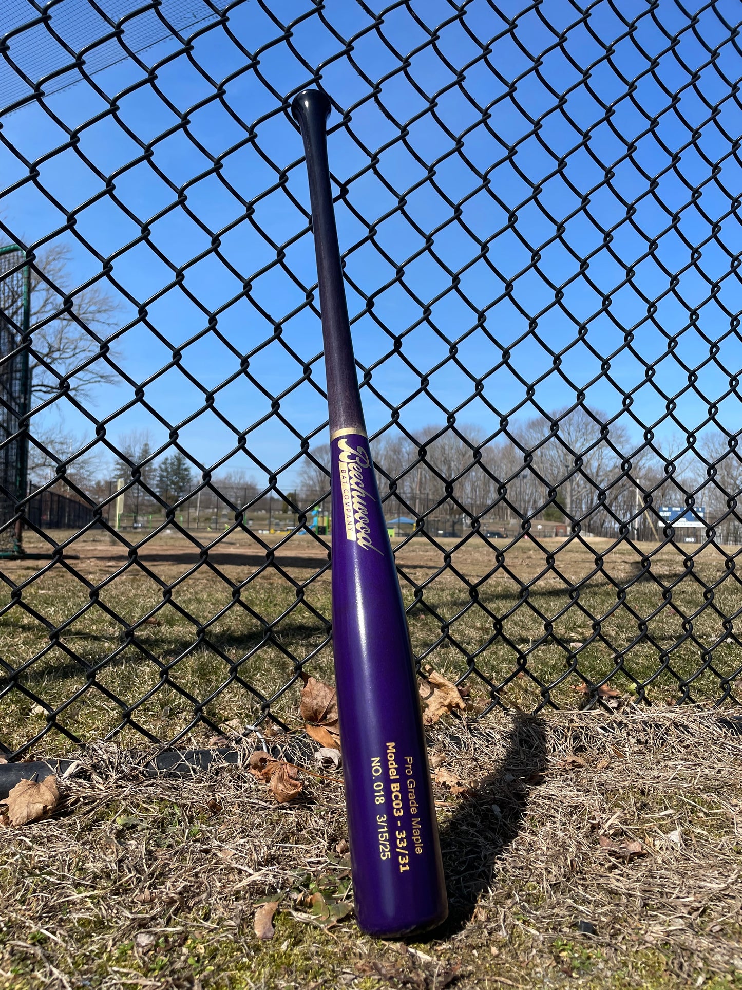 Black and Purple w/ Gold
