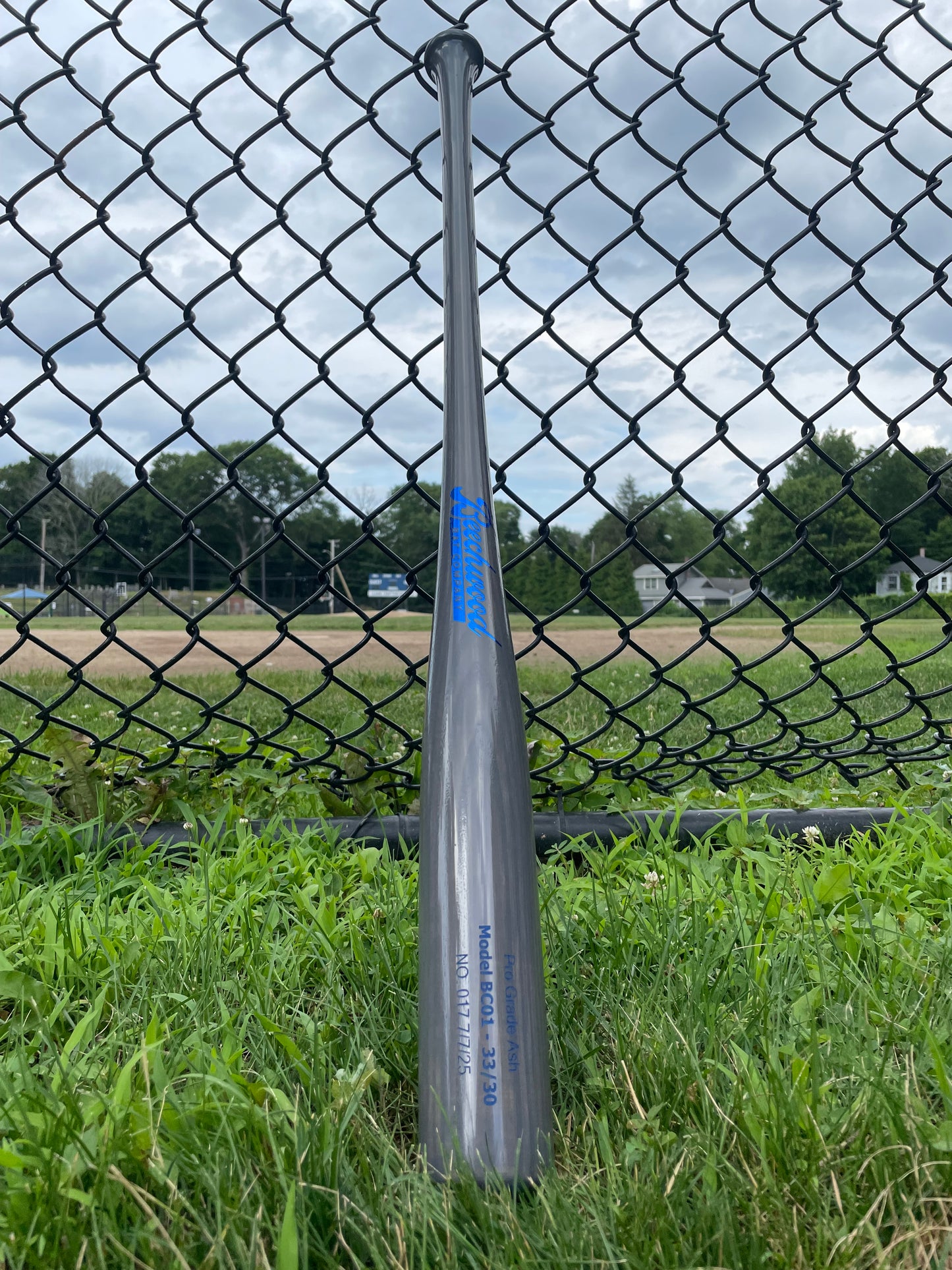 Light Gray w/ Chrome Blue