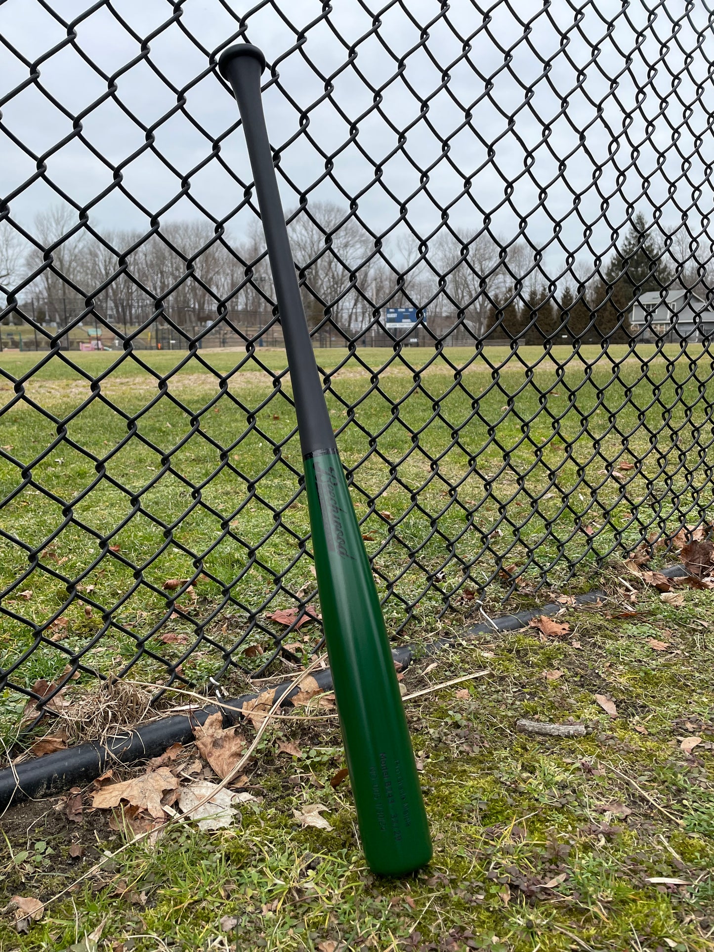 Matte Black and Green Finish