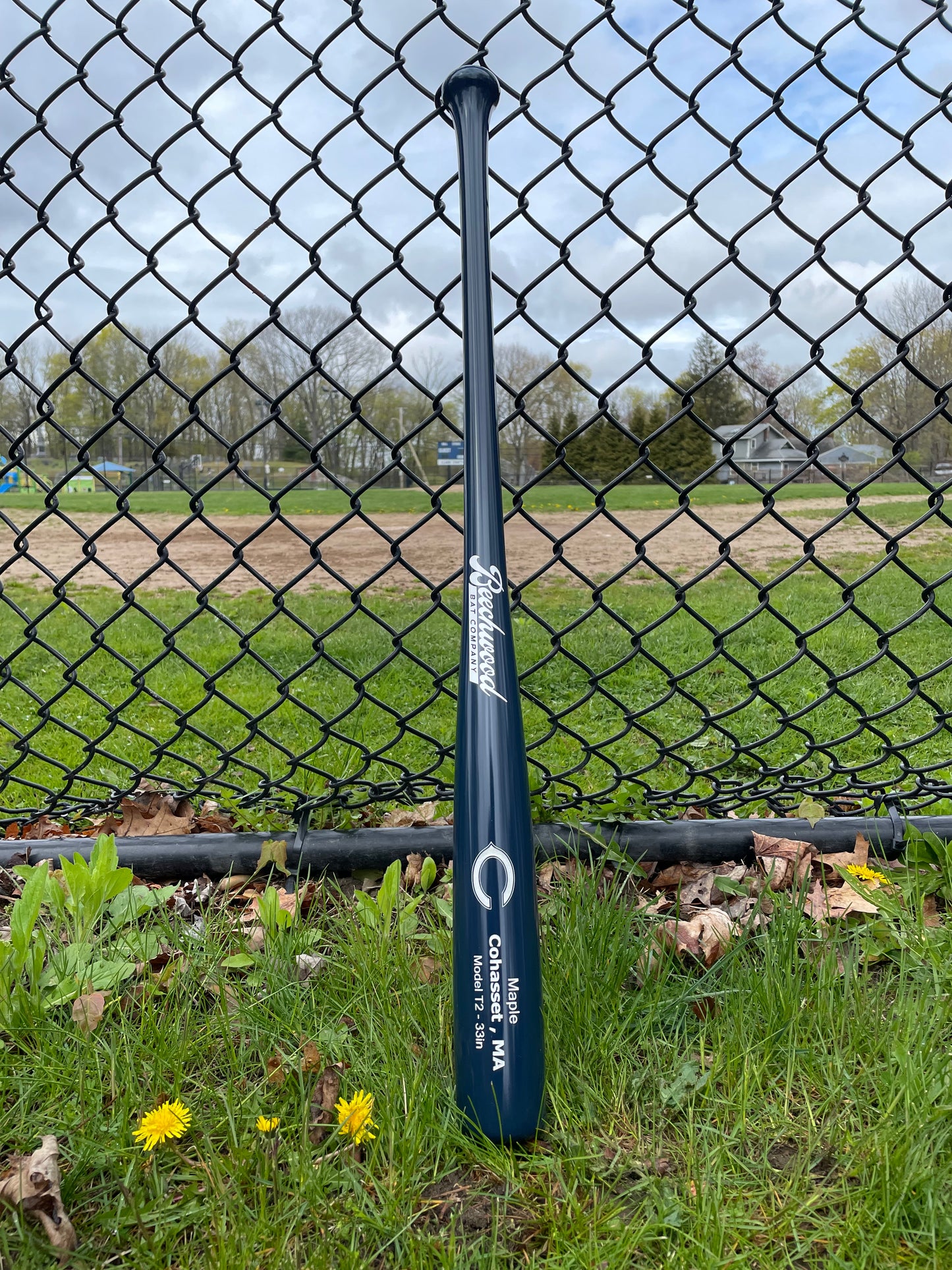 The Cohasset Bat