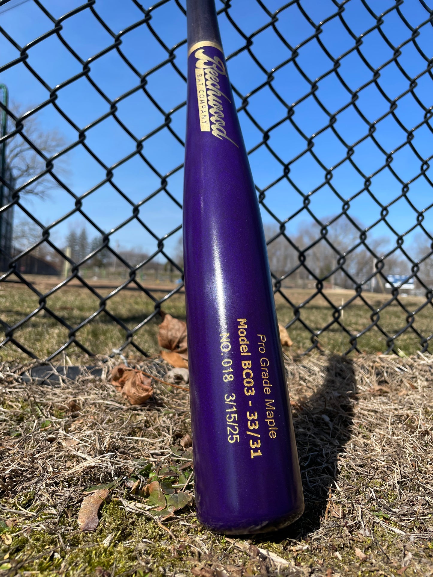 Black and Purple w/ Gold