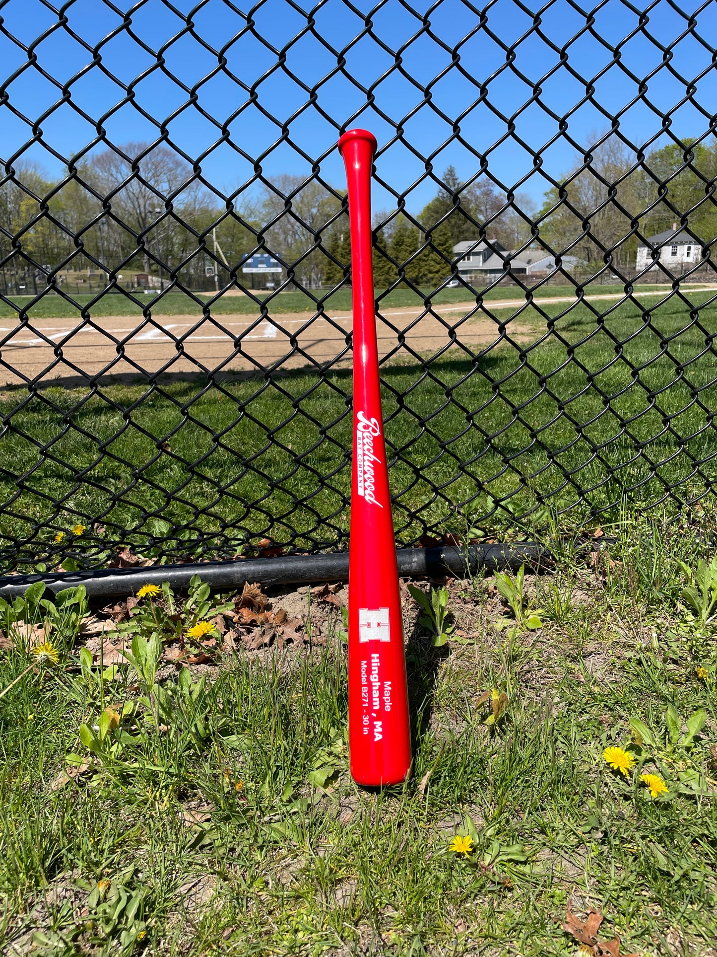 The Hingham Bat