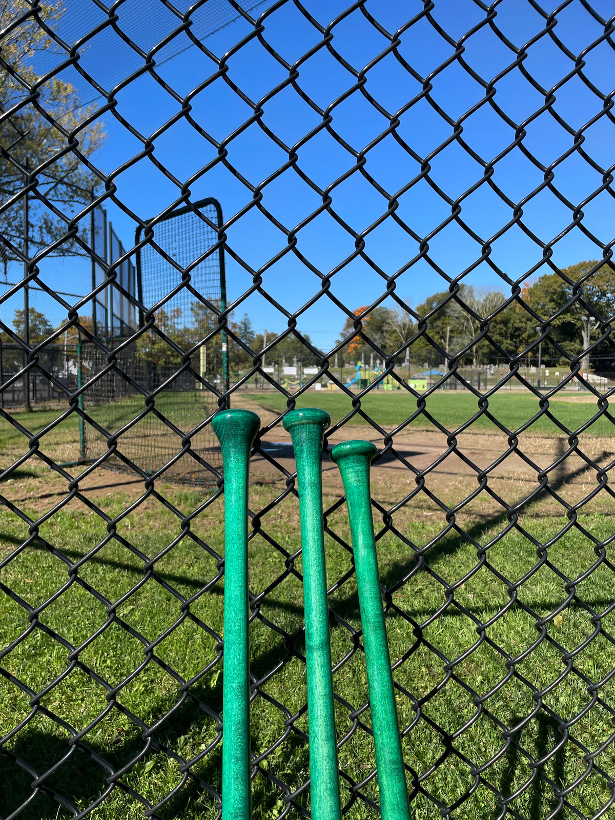 Ready To Ship - Fungos - Green Handle