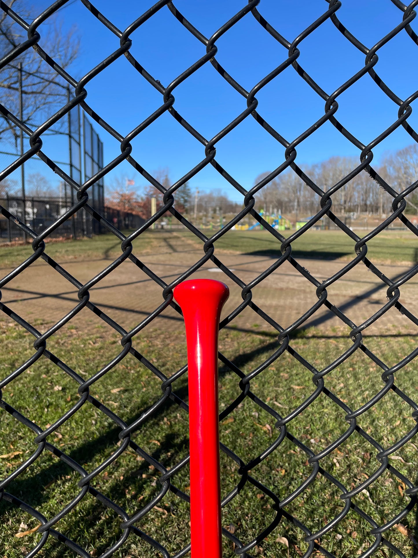 Ready To Ship - Fungo - Red Tiger