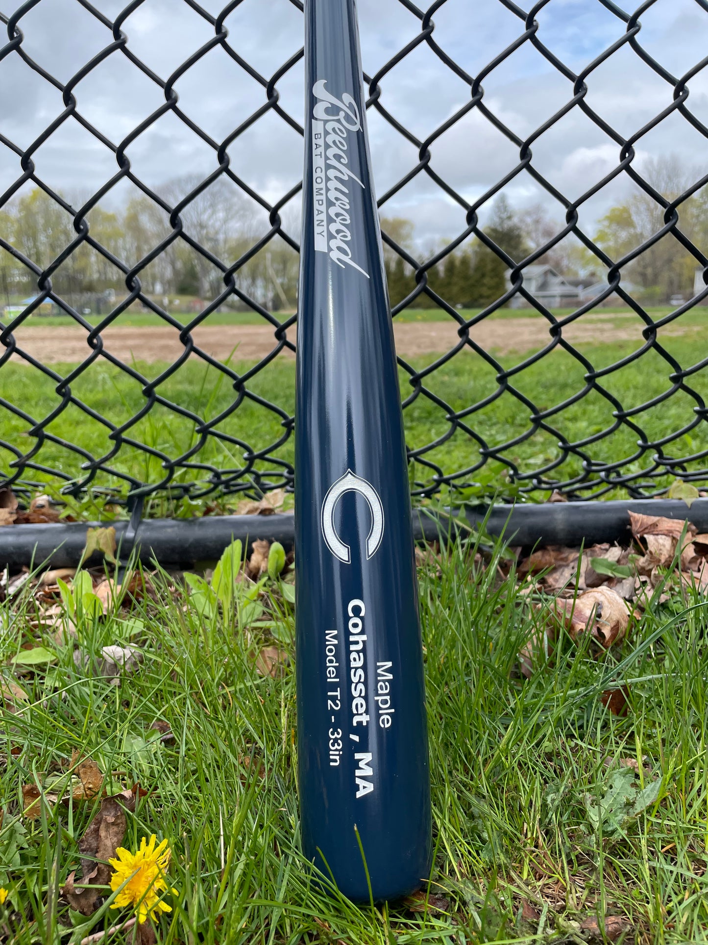 The Cohasset Bat