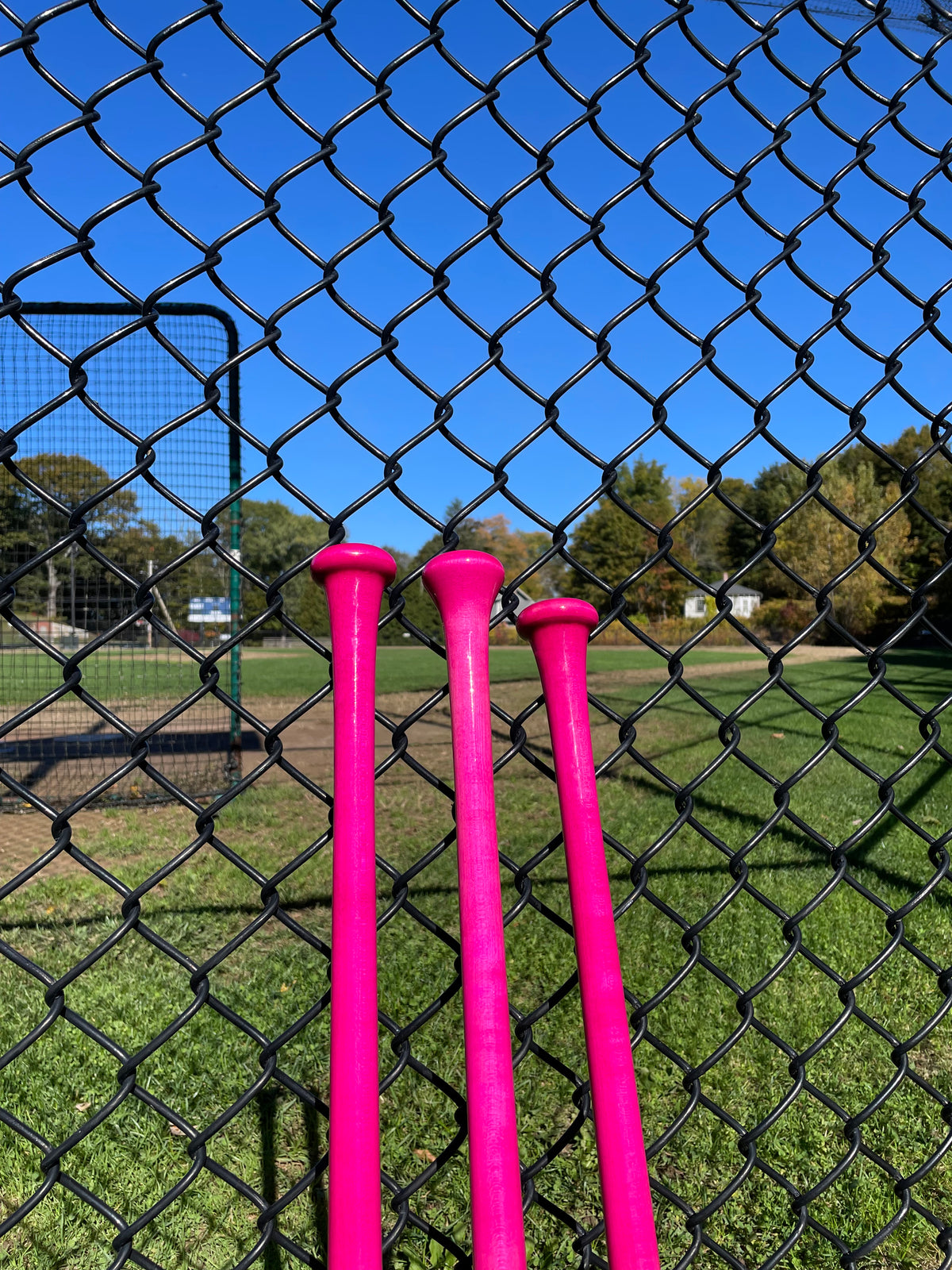 Ready To Ship - Fungos - Pink Handle