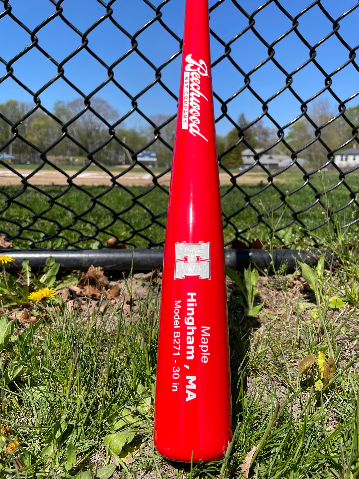 The Hingham Bat