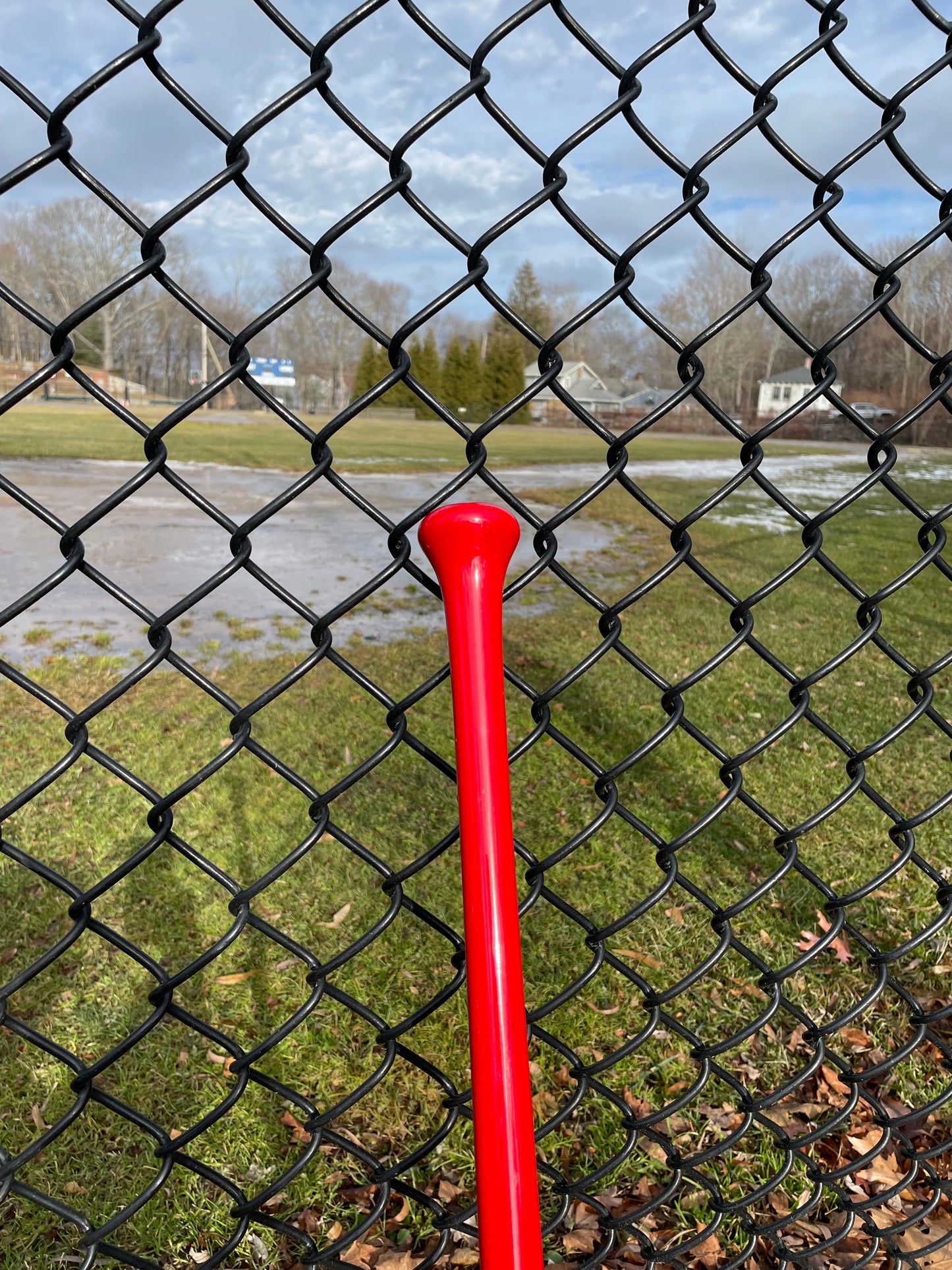 Read To Ship - Fungo - Red Burst