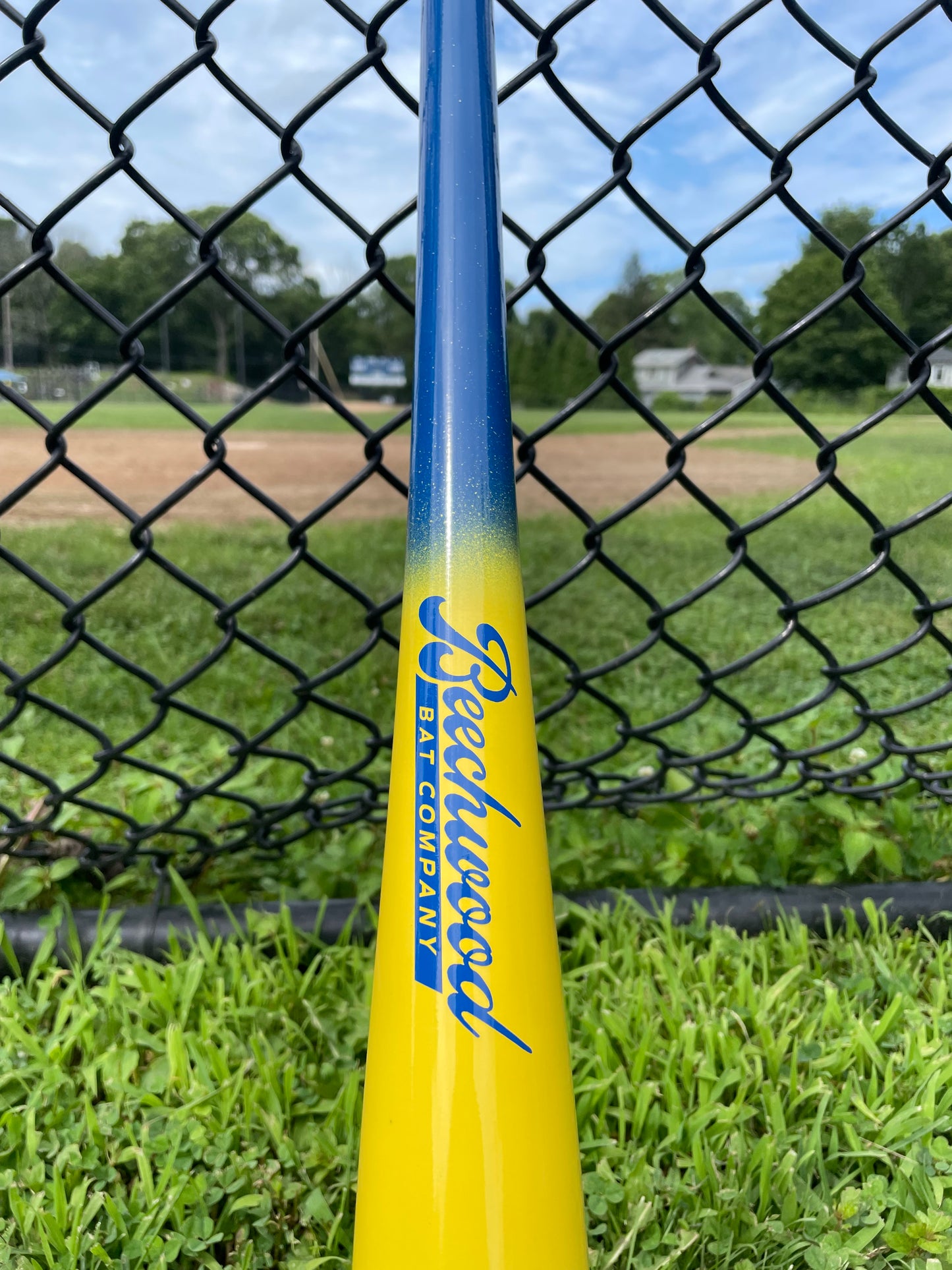 Blue and Yellow Fade
