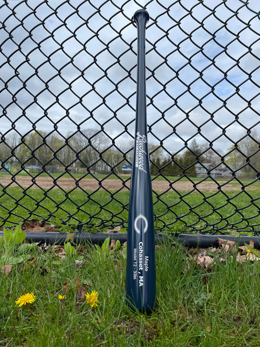 The Cohasset Bat