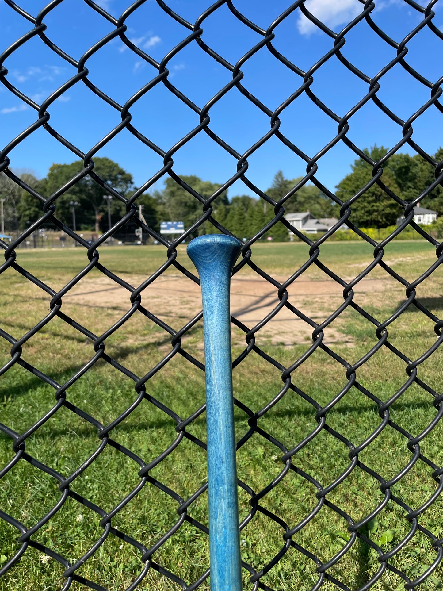 Ready To Ship - Fungo - Blue Handle