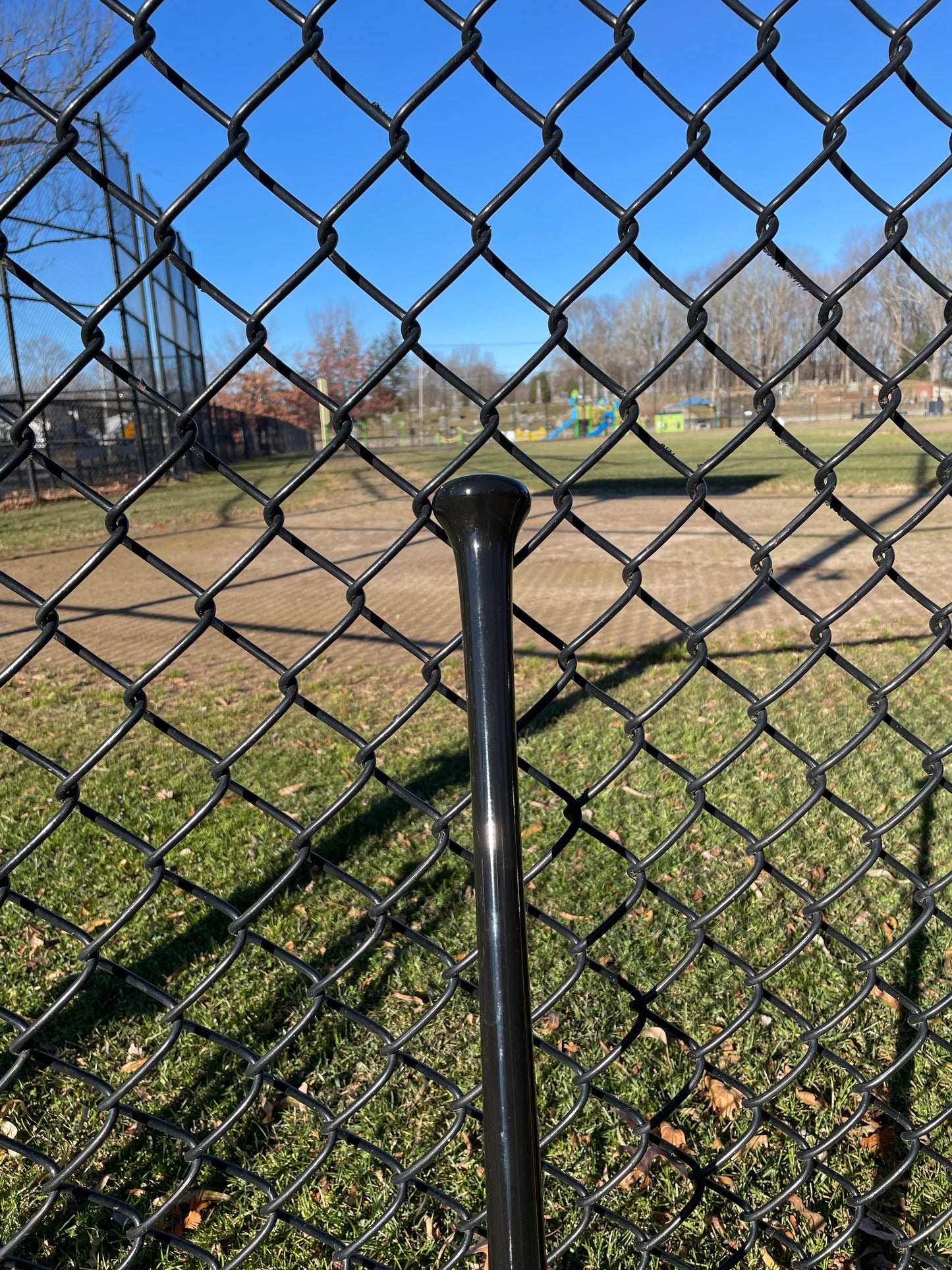 Ready To Ship - Fungo - Purple