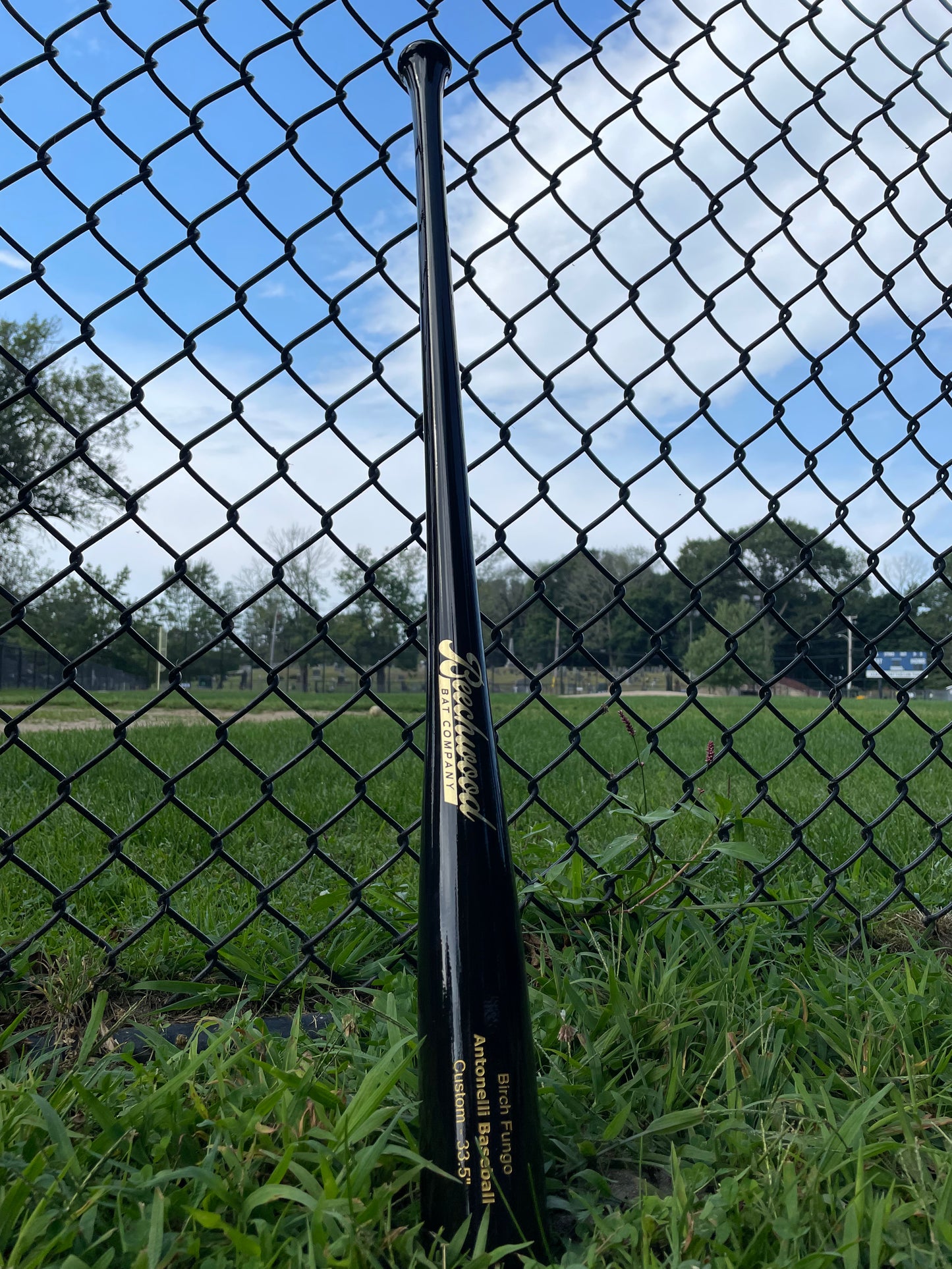 Gloss Black w/ Gold